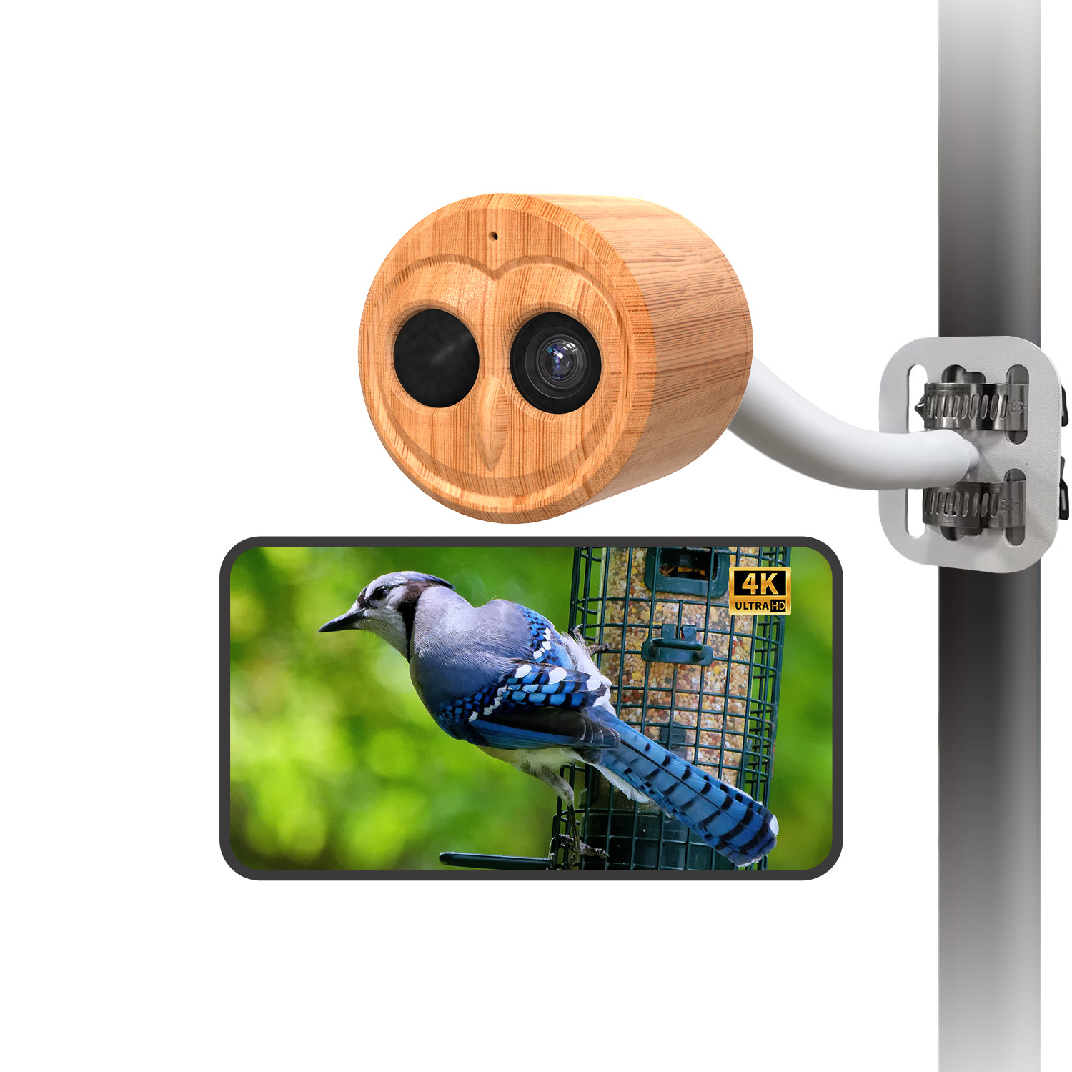 เครื่องให้อาหารนกอัจฉริยะ 4K พ - Power Outdoor บทวิจารณ์และราคา